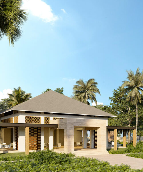 Clubhouse nidus 500x600